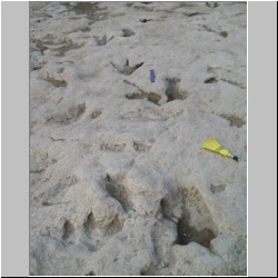 100_0419 (2009-26-07)cr.jpg